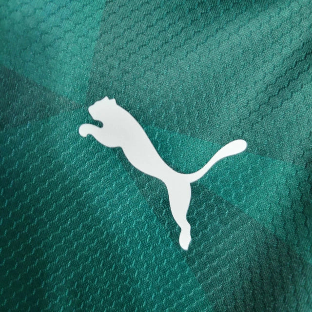 Camisa Palmeiras I 2023/24 Feminina - Puma